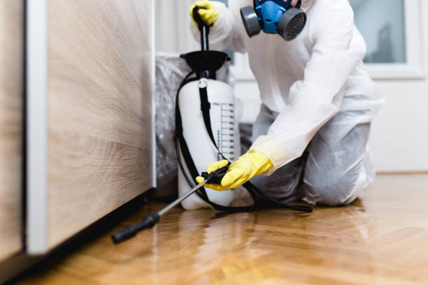 Best Mosquito Control Services  in Floresville, TX