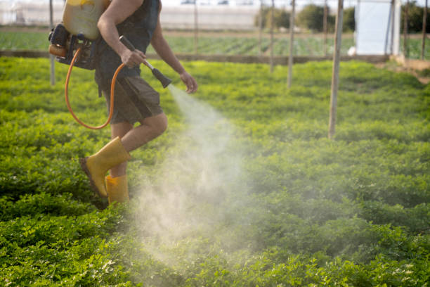 Best Best Pest Control Companies  in Floresville, TX