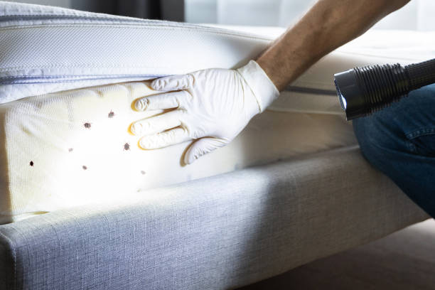 Best Pest Inspection Near Me  in Floresville, TX