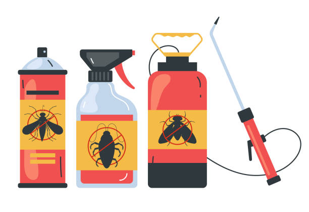 Best Spider Control Near Me  in Floresville, TX
