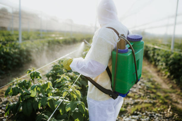 Trusted Floresville, TX Pest Control Experts